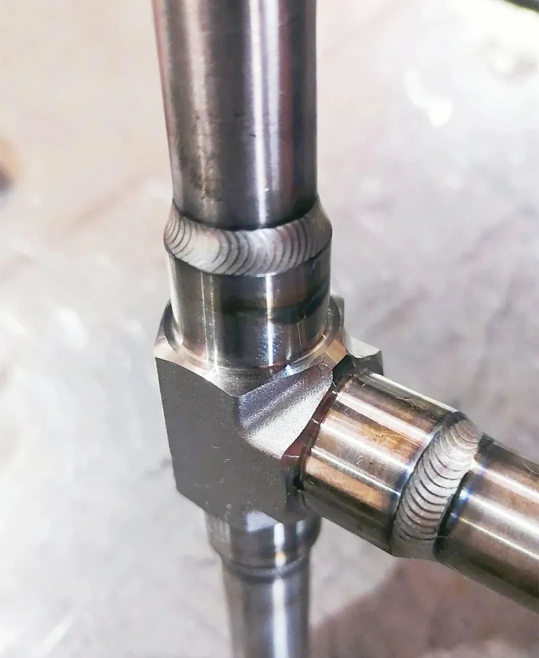 1702001819334404.jpg 640.jpg